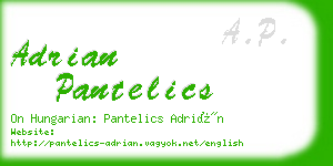 adrian pantelics business card